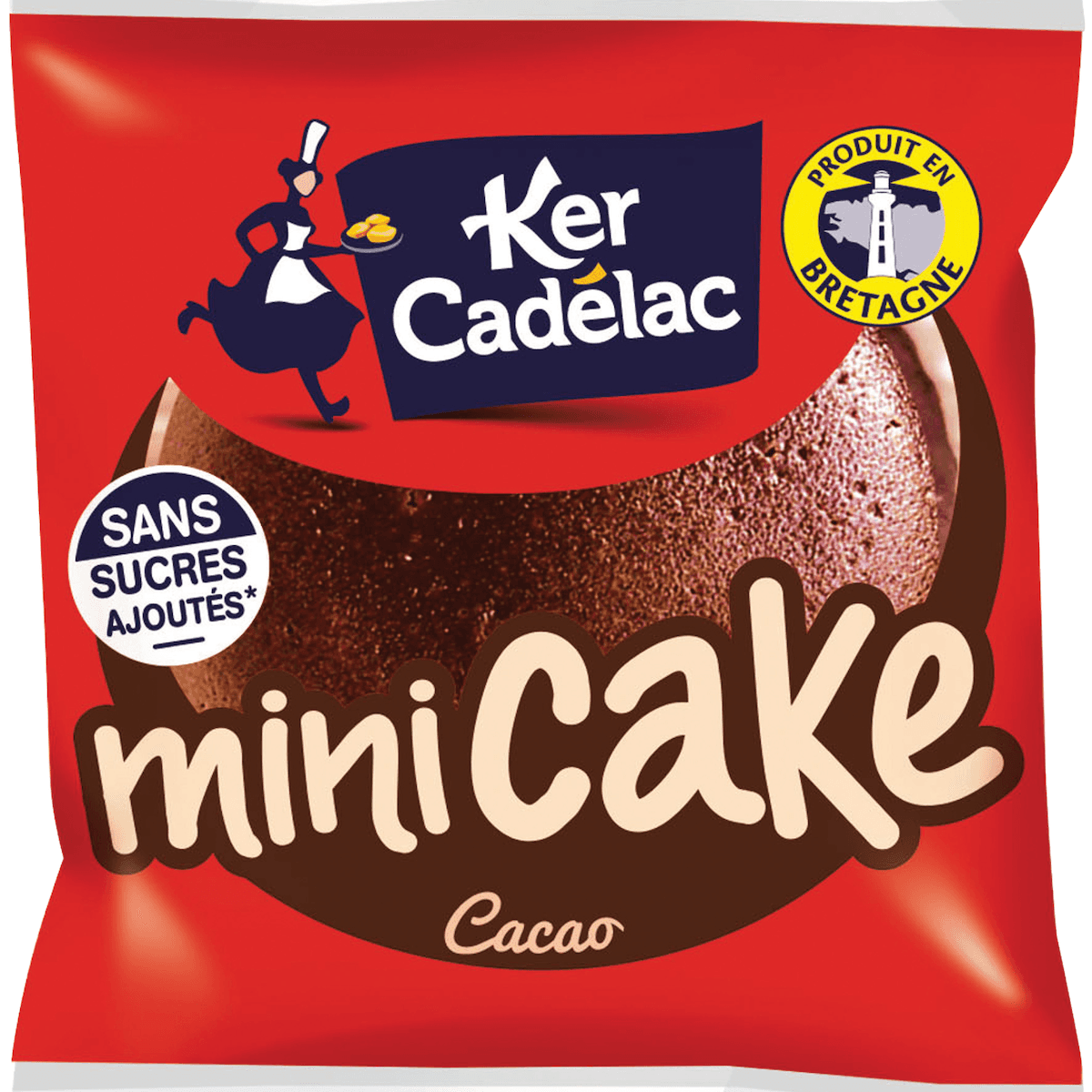 MINI CAKE CACAO 30G SANS SUCRE AJOUTE