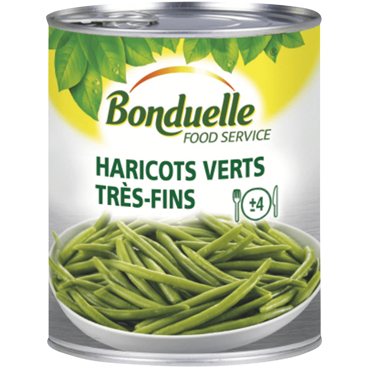 HARICOTS VERTS TRES FINS - BTE 4/4 OF - CE2 - ORIGINE FRANCE