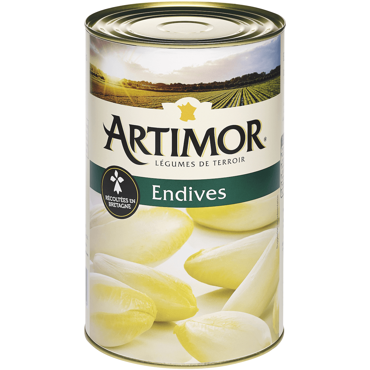 ENDIVES DE BRETAGNE 5/1