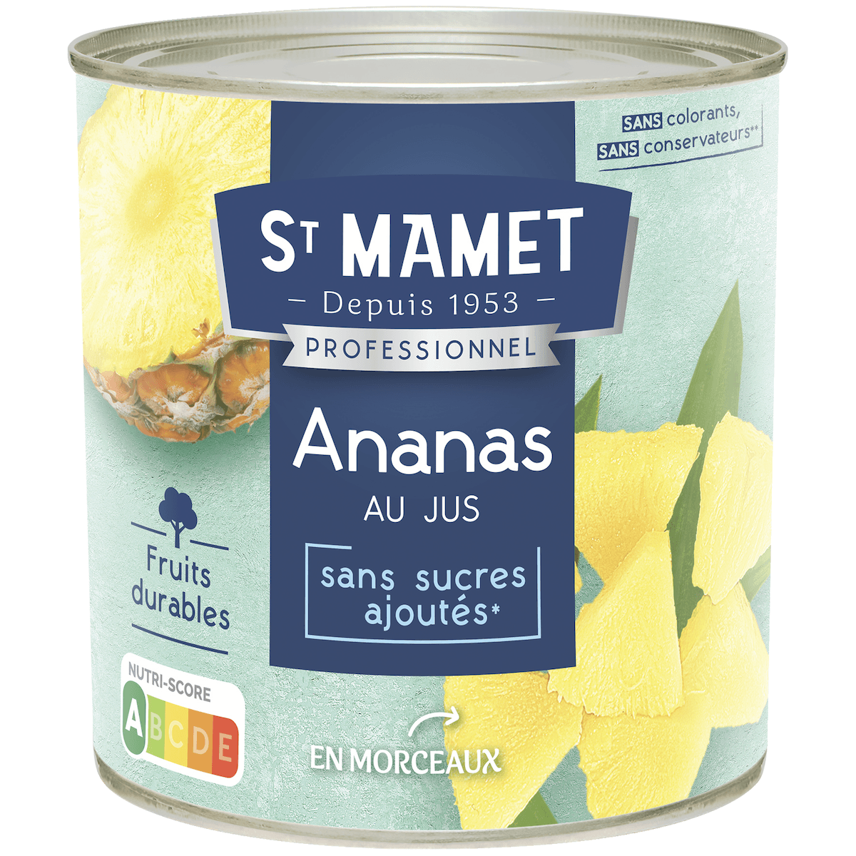 ANANAS EN MORCEAUX AVEC JUS ANANAS BOITE A10