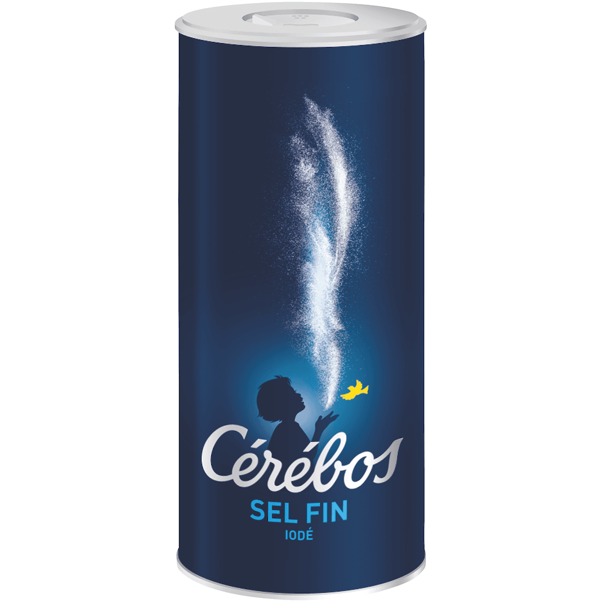 SEL FIN IODE BOITE VERSEUSE 500G