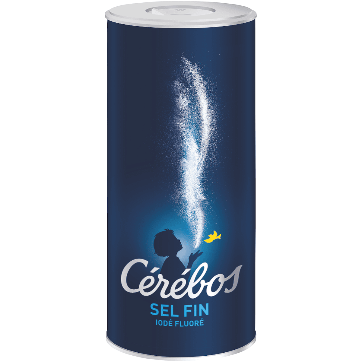 SEL FIN IODE FLUORE BOITE VERSEUSE 500G