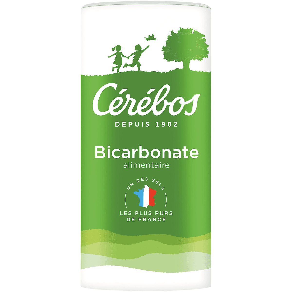 BICARBONATE DE SODIUM BOITE VERSEUSE 400G