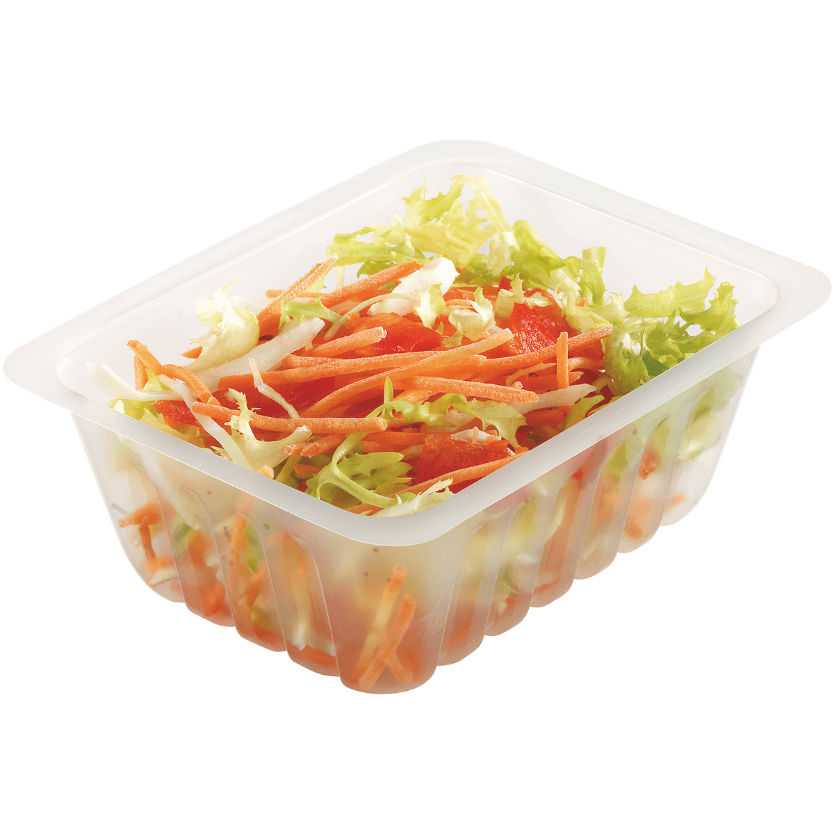 BARQUETTES TRANSLUCIDES (PS) 200CC - FOND PLAT - CAISSIPACK - SCT:500