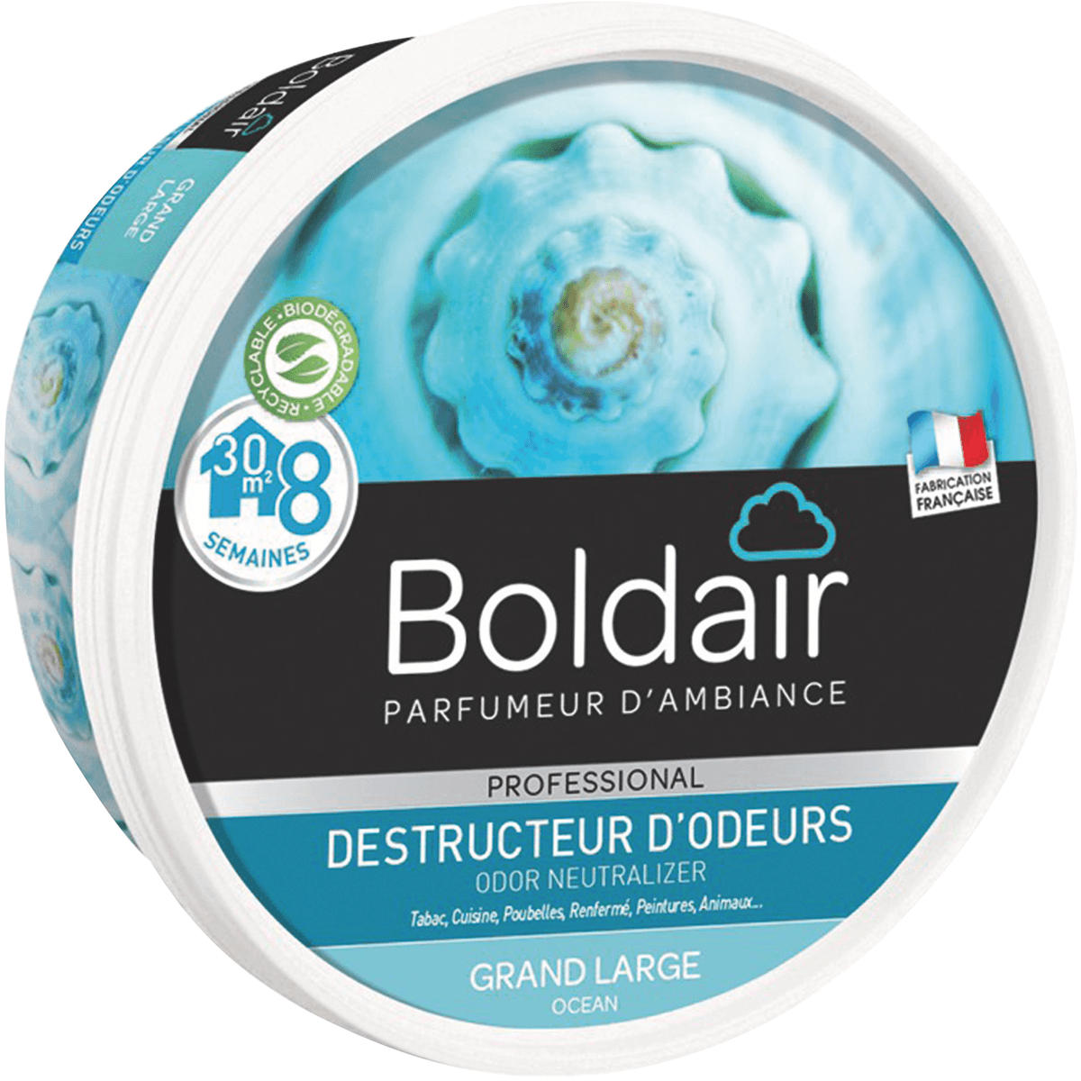 BOLDAIR GEL DESTRUCTEUR D'ODEURS GRAND LARGE UNITÉ 300 G
