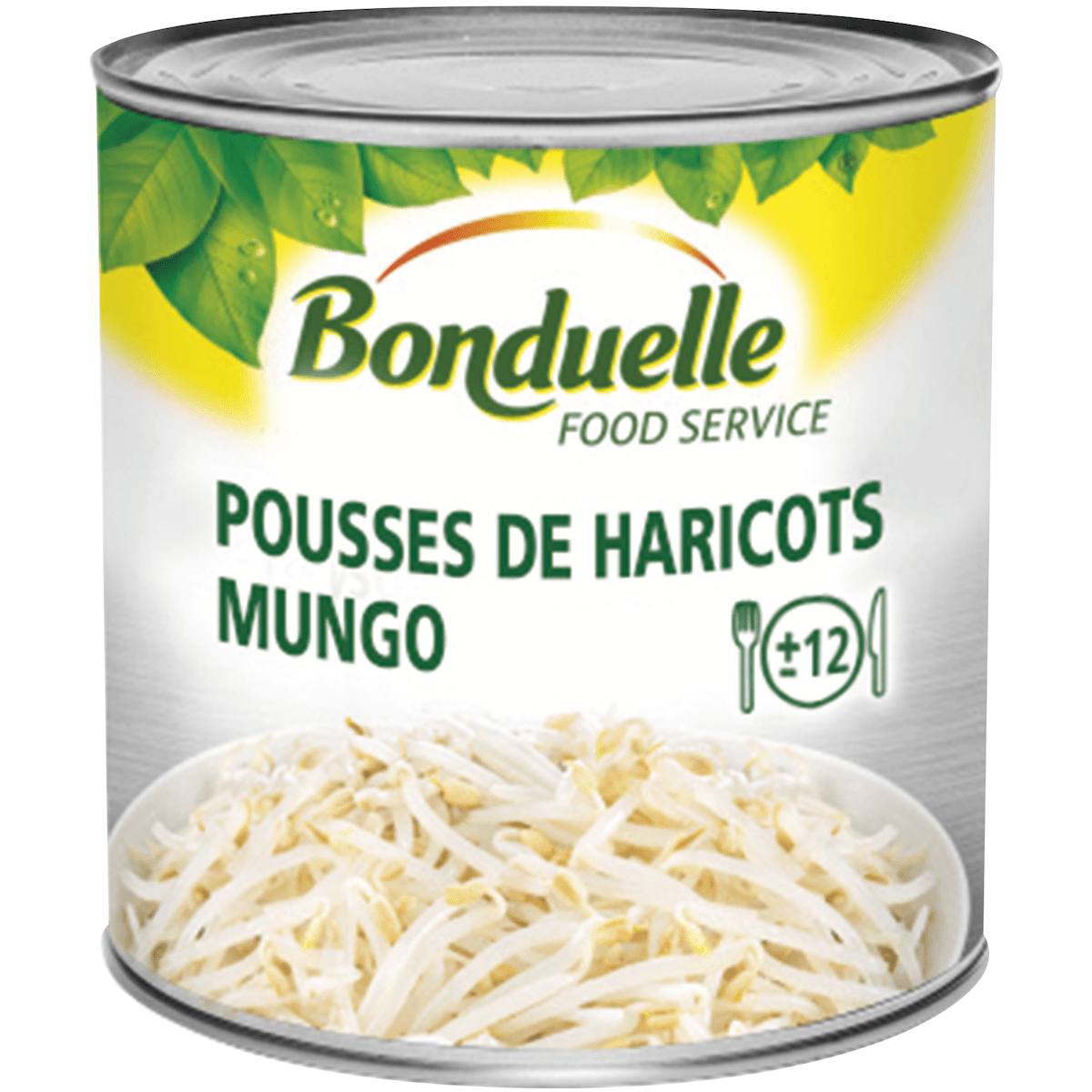 POUSSES DE HARICOTS MUNGO (SOJA) - BTE 3/1 - ORIGINE FRANCE