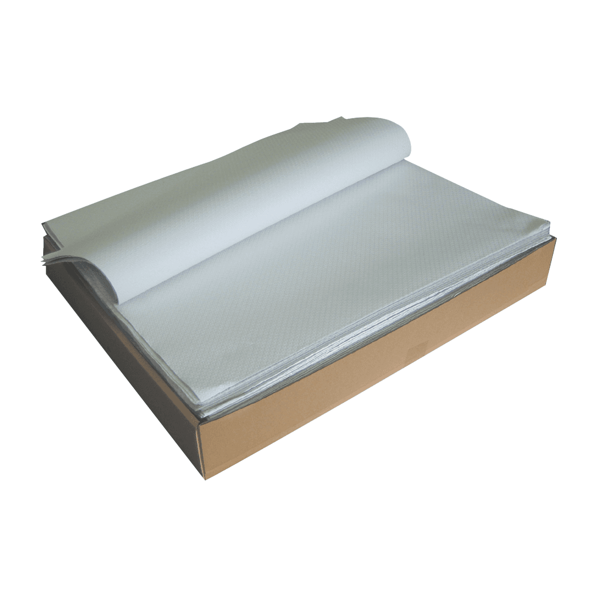 NAPPE FORMAT EXTRA BLANCHE 70X110CM-1 PLI-PACK DE 500