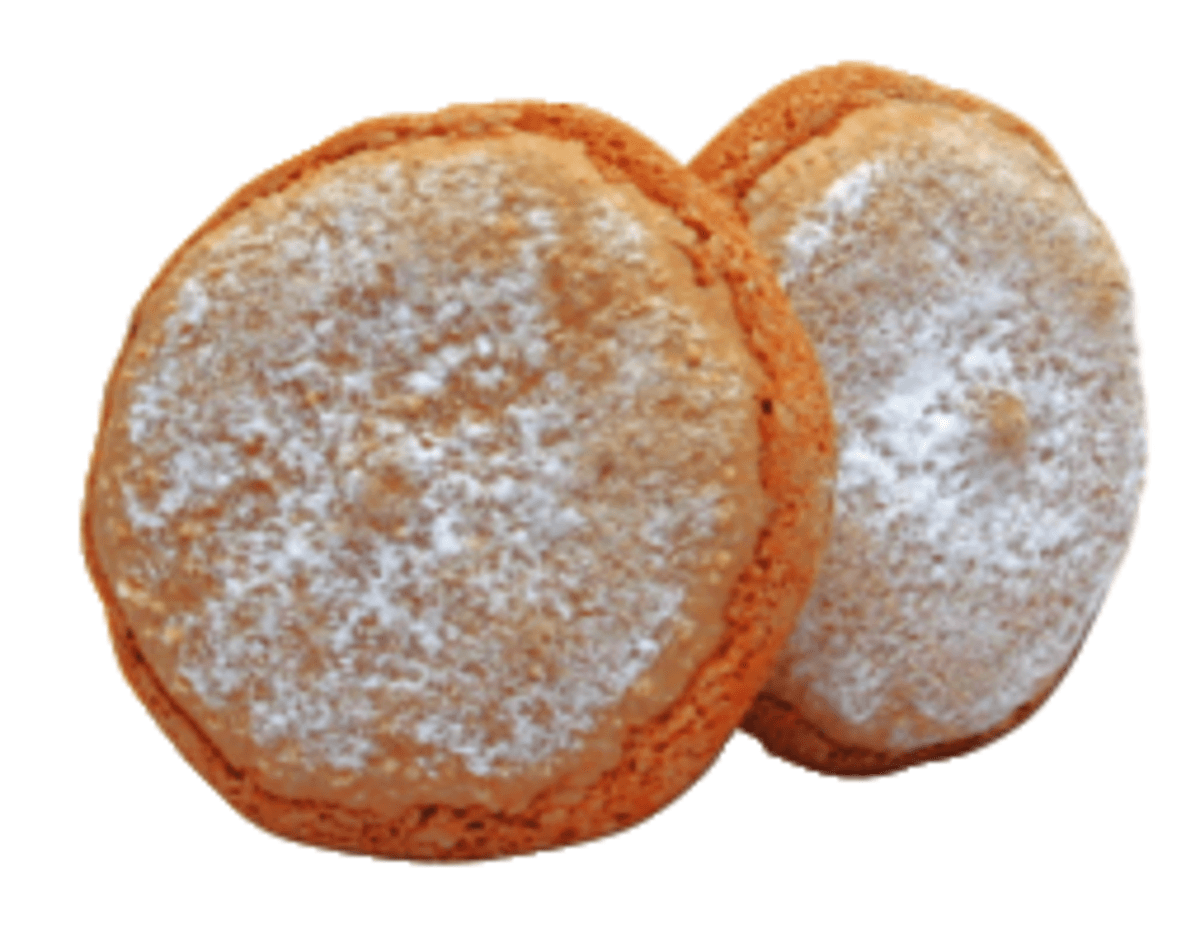 SAVOURINES-6 BARQUETTES DE 20 X10G