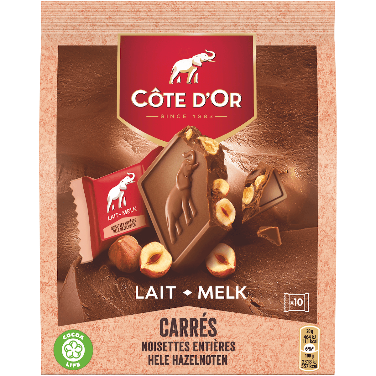 CARRÉ LAIT NOISETTES 10X20G