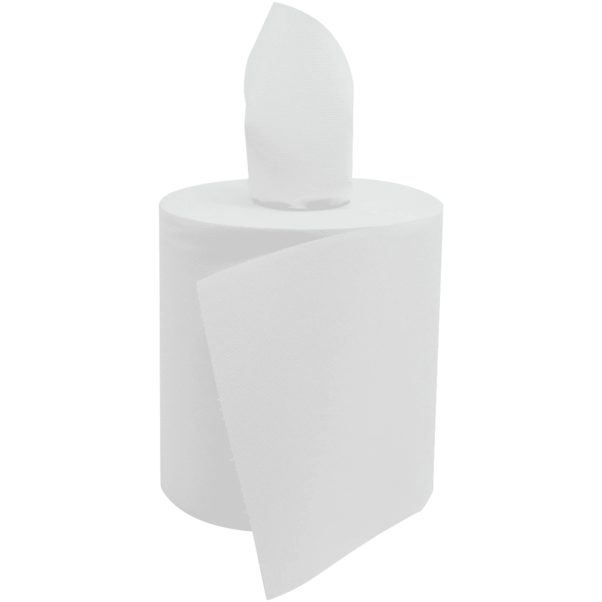 BOBINE BLANCHE  ESSUIE-MAINS 450 FORMATS 18,1 X 23 CM