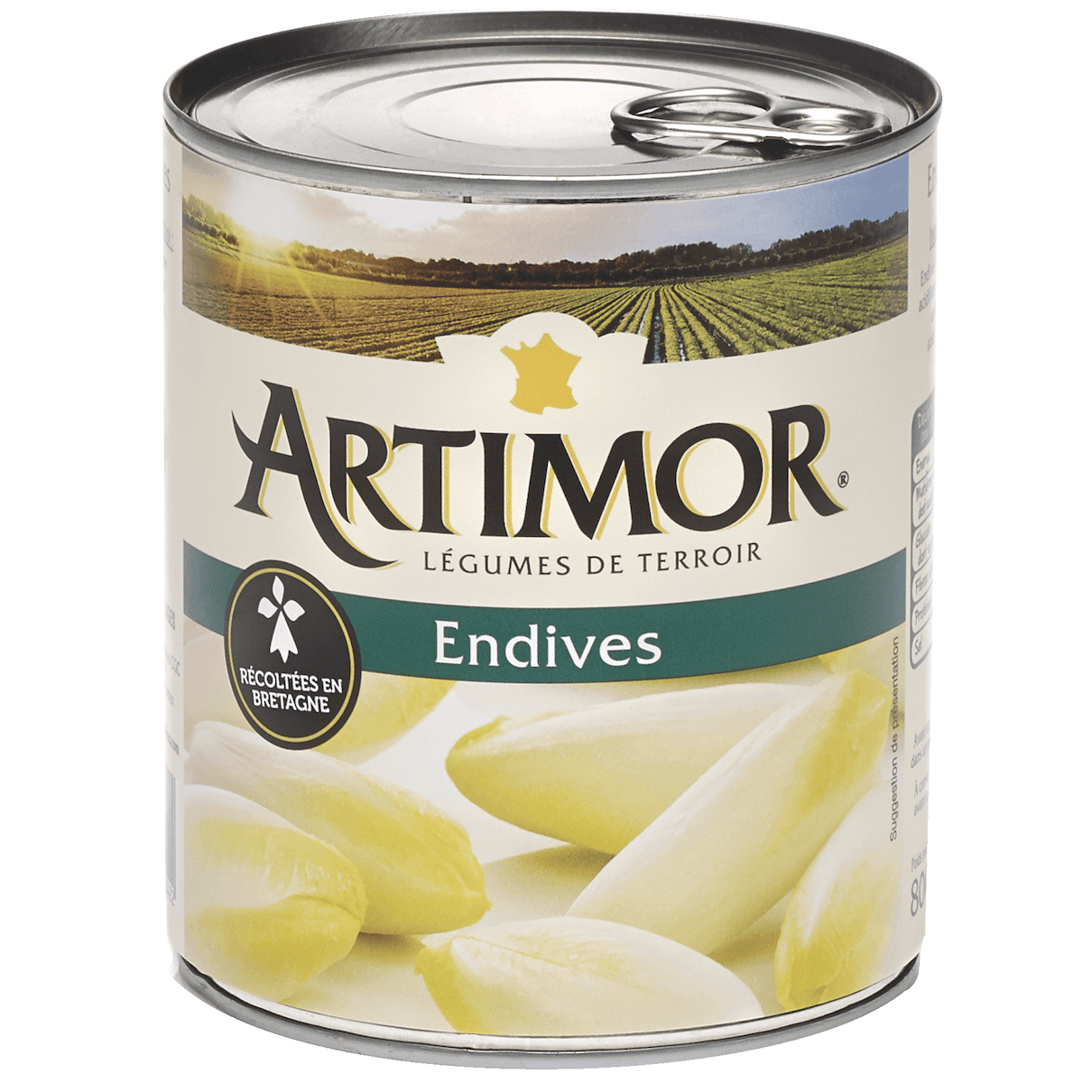 ENDIVES DE BRETAGNE 4/4