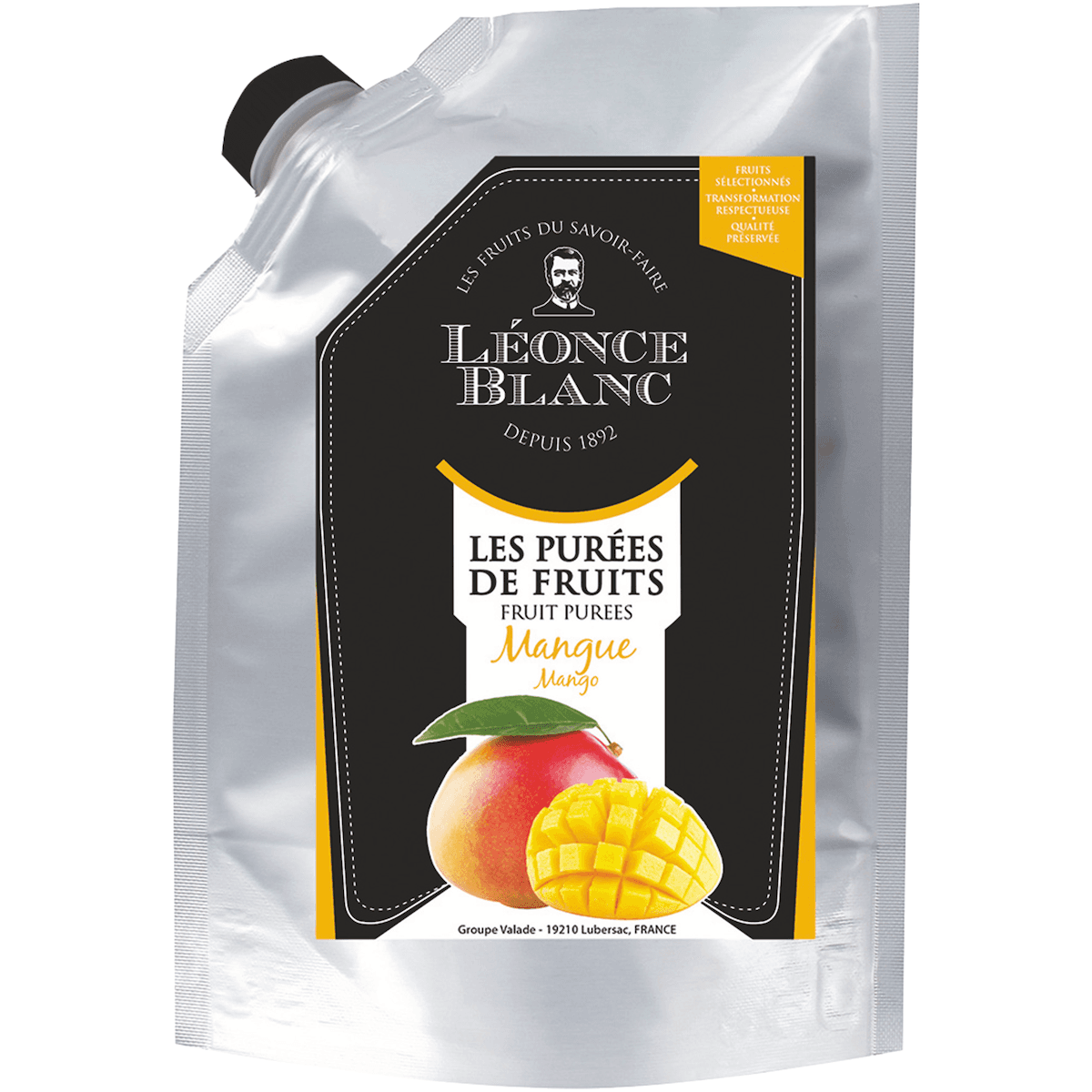 PUREE MANGUE - POCHE 1KG