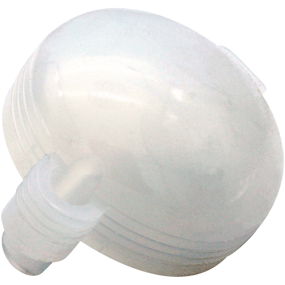 DOME N°7299