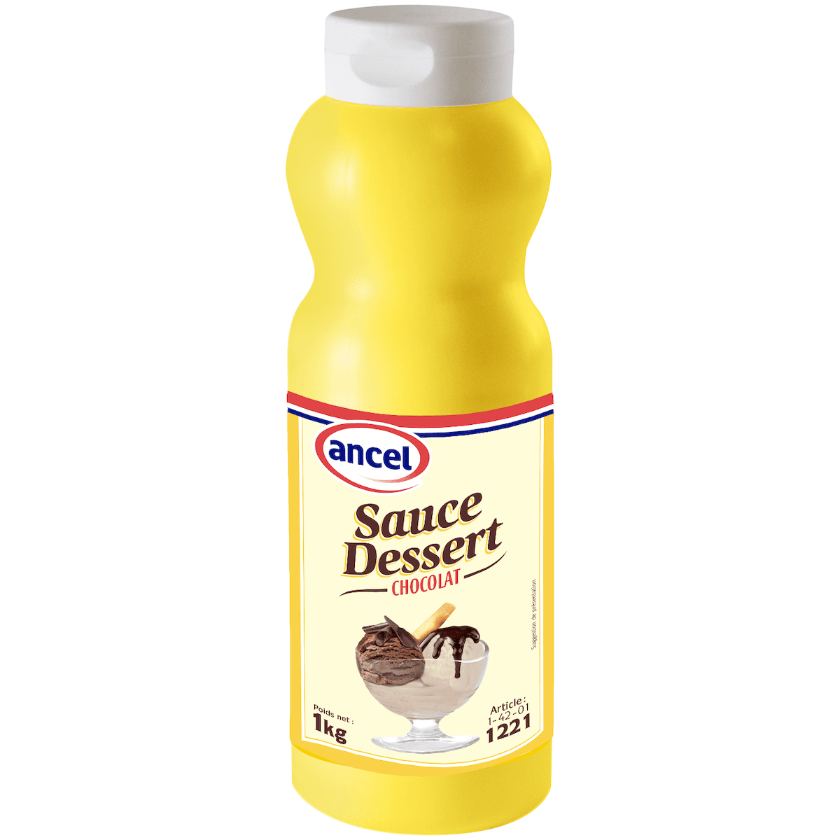 SAUCE DESSERT CHOCOLAT BTL 1KG