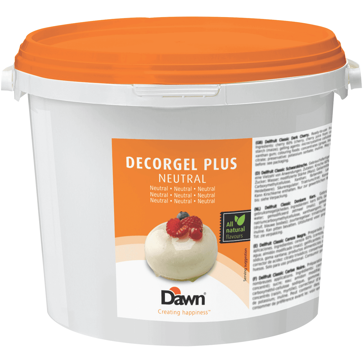 DECORGEL PLUS NEUTRE SEAU 3KG