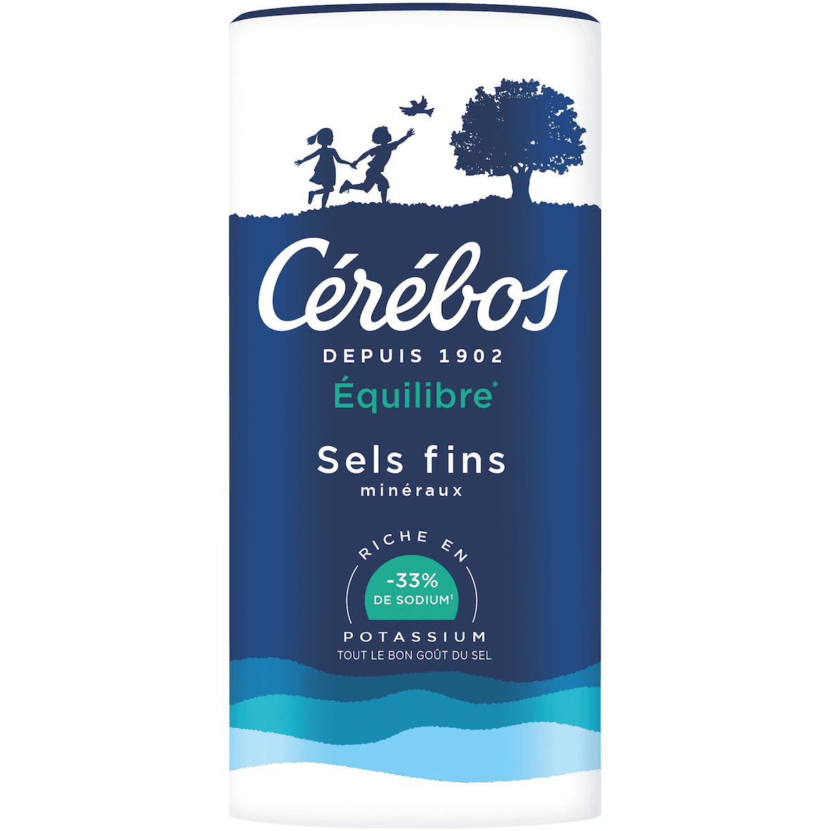 SEL FIN EQUILIBRE REDUIT EN SODIUM 33% BOITE VERSEUSE 350G