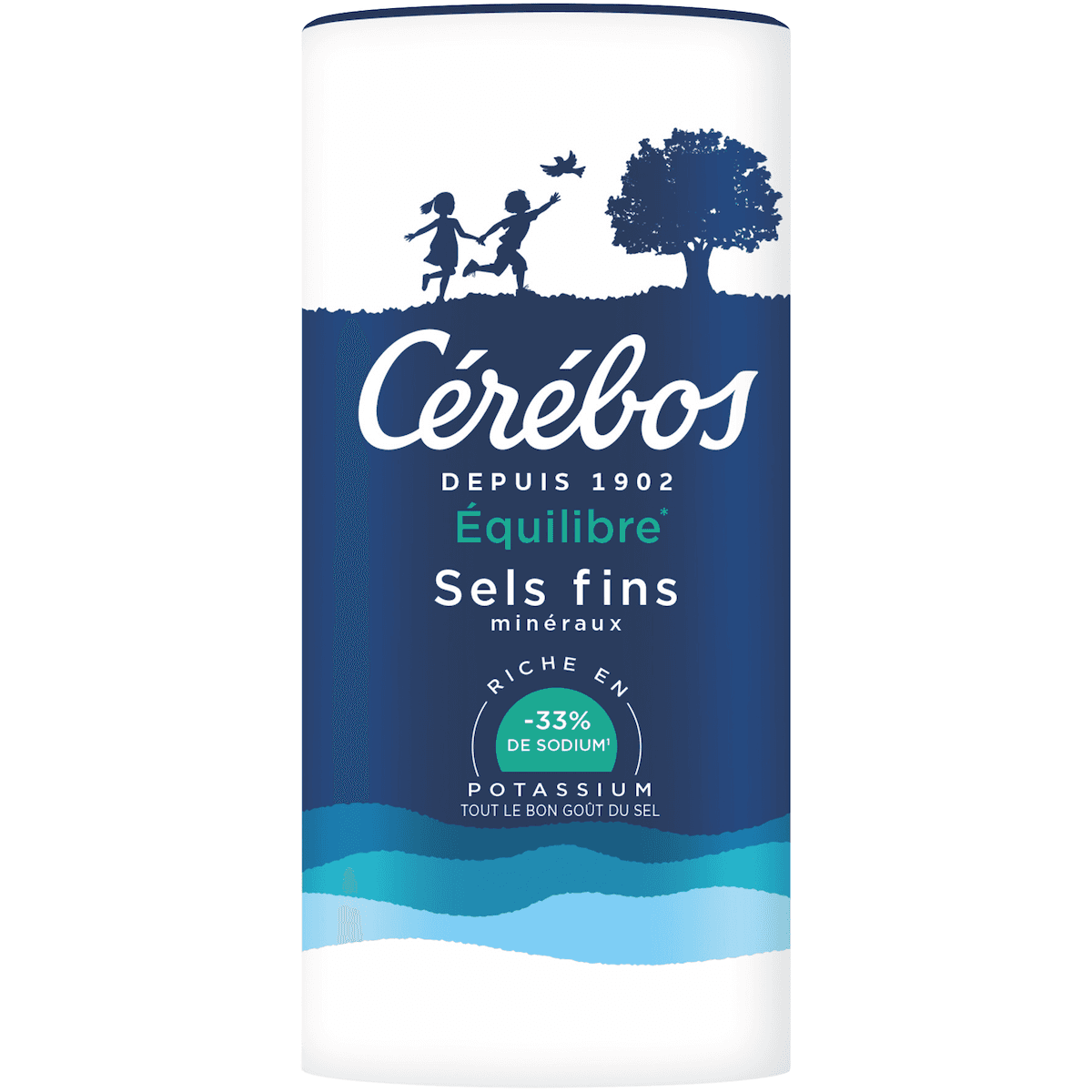 SEL FIN EQUILIBRE REDUIT EN SODIUM 33% BOITE VERSEUSE 90G
