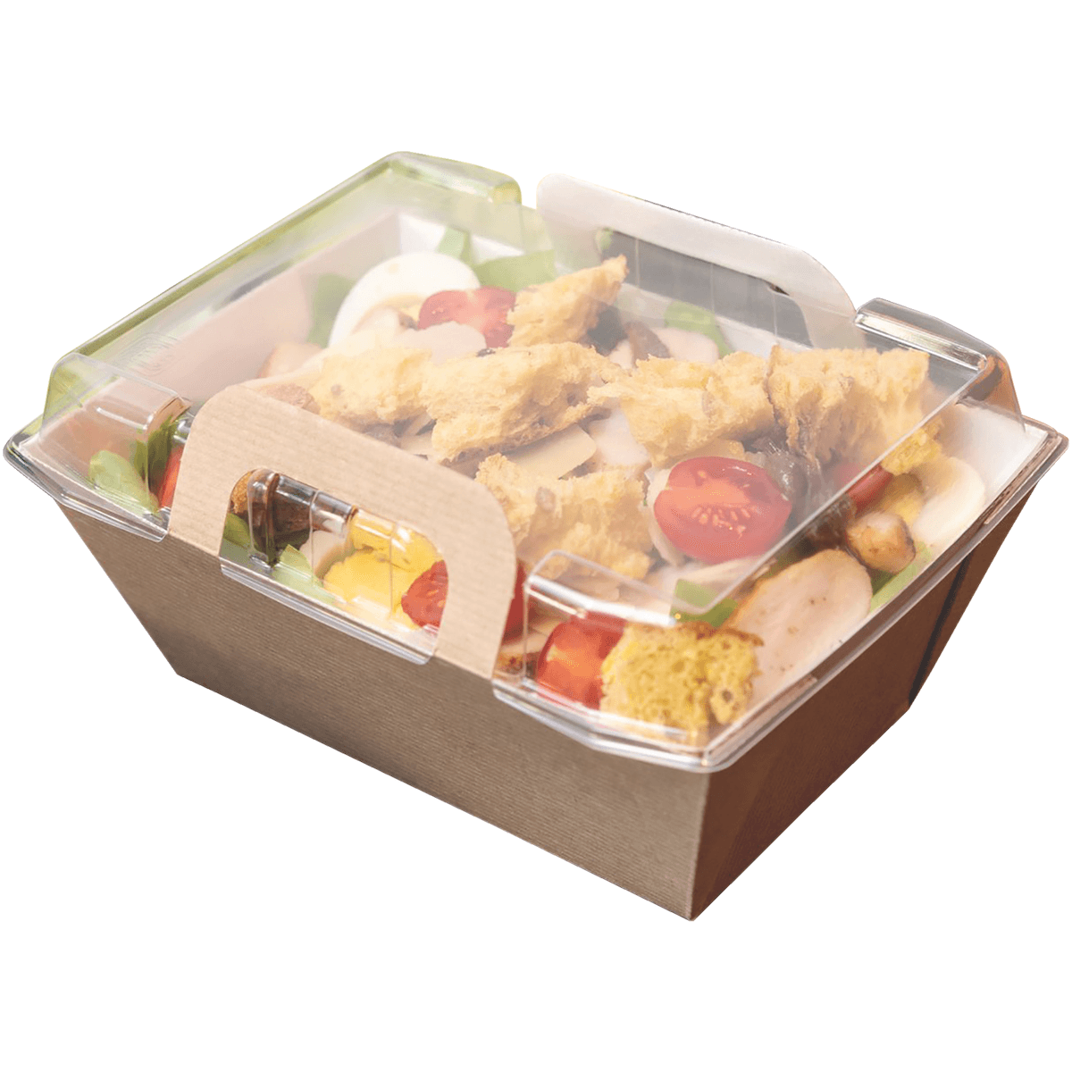 PANIER SALADE REPAS FROID VISION+  X100