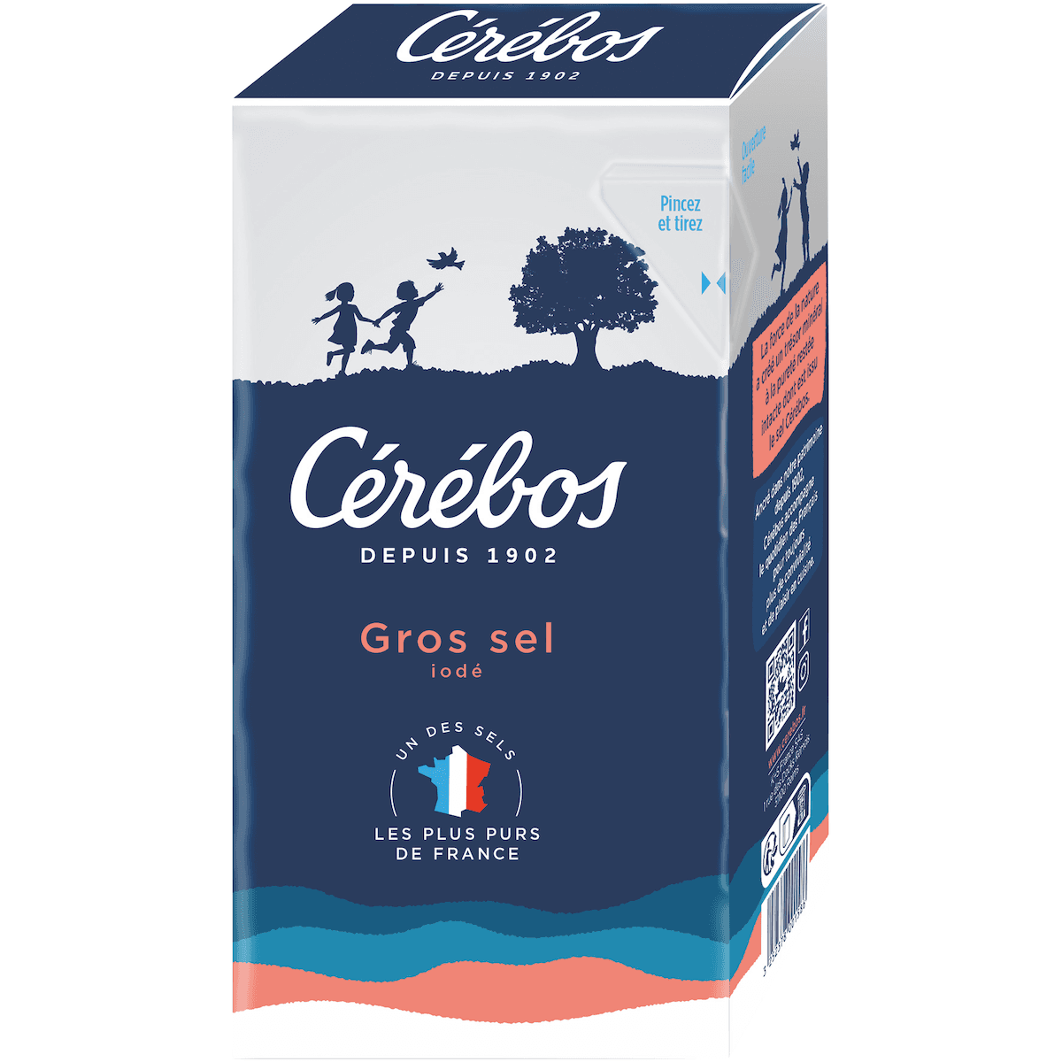 SEL GROS IODE ETUI CARTON 1KG
