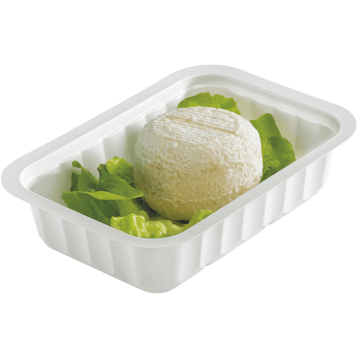 BARQUETTE SCELLABLE BLANCHE 250CC PM SCT:120