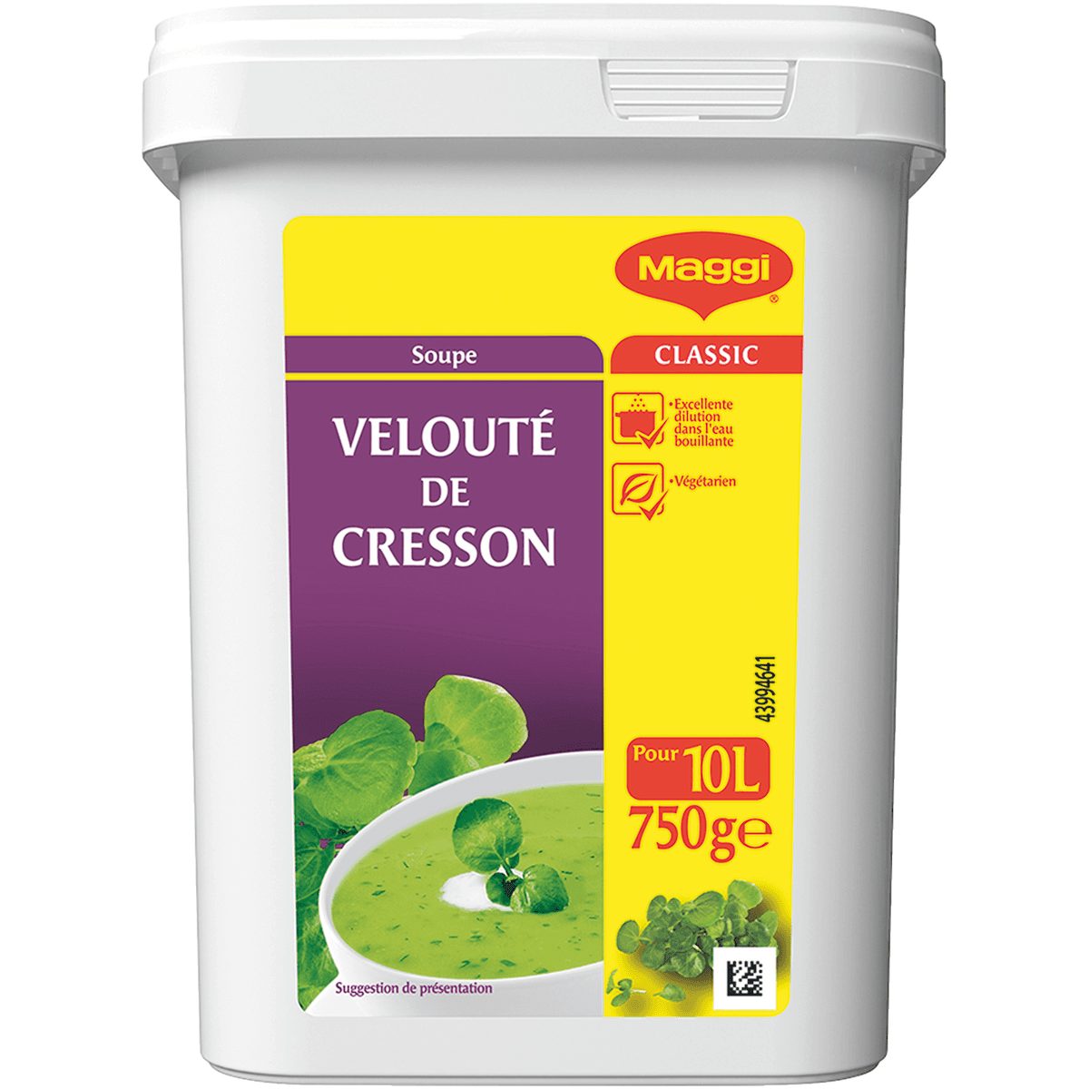 VELOUTE DE CRESSON - BOITE 750G POUR 12L