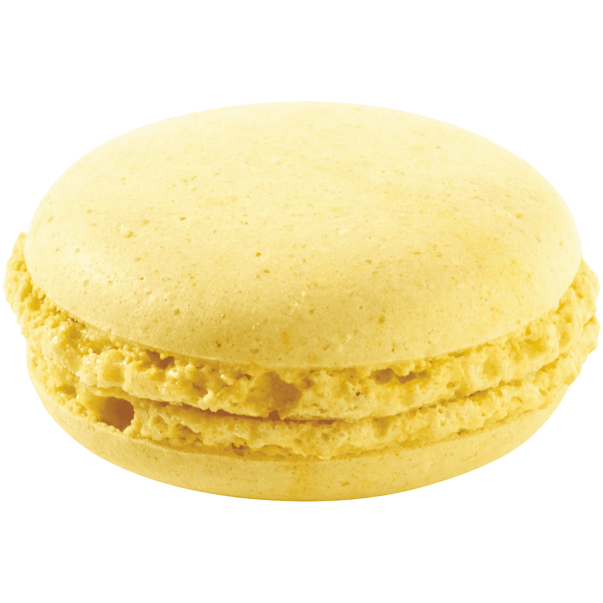 ASSORTIMENT DE MACARONS SALES CURRY EPICE - 192 PIECES