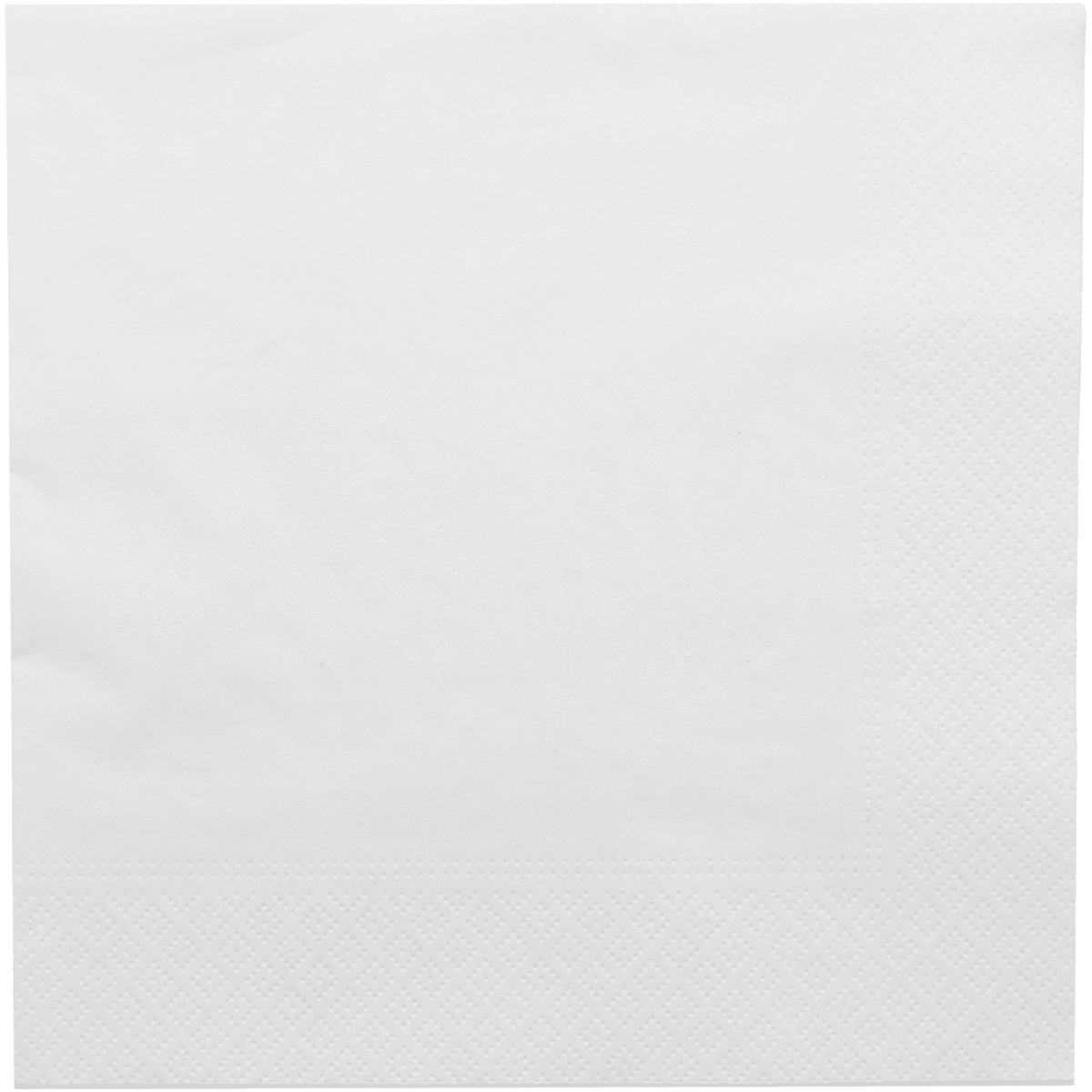 SERVIETTES ECOLABEL 2 PLIS 18 G/M2 BLANC OUATE - PAQUET DE 100