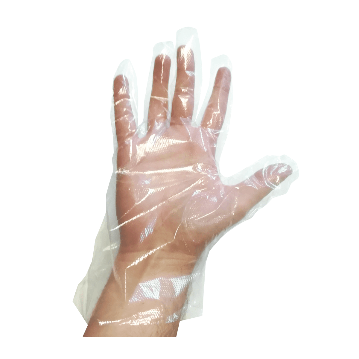 GANT PE MARTELÉ ECO - ÉTUI DISTRIBUTEUR MURAL - TRANSPARENT - TAILLE M