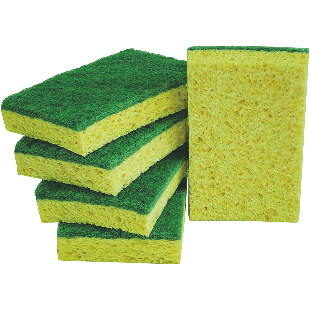TAMPON VERT SUR EPONGE- GRAND MODELE LOT DE 10