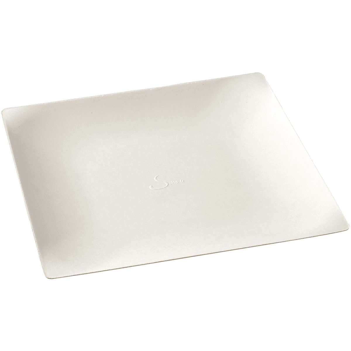 ASSIETTE IMAGINE PULPE DE CANNE 20X20CM