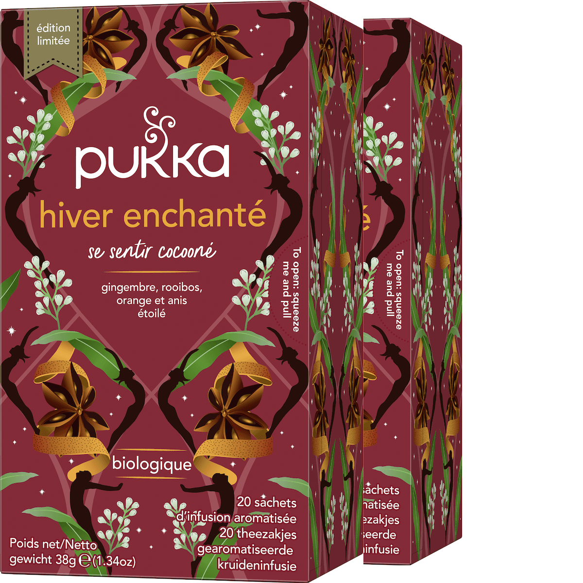 PUKKA INFUSION HIVER ENCHANTE 20 SACHETS
