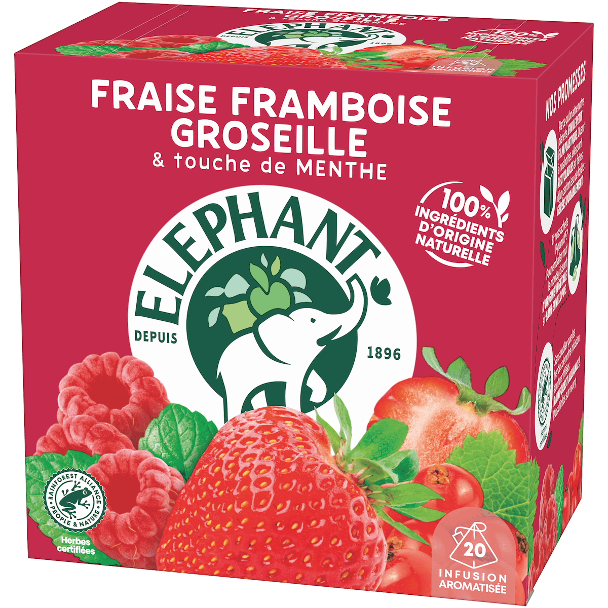 ELEPHANT INF FRAISE FRAMBOISE & MENTHE - BOITE 20 PYRAMIDES SANS ENVELOPPE