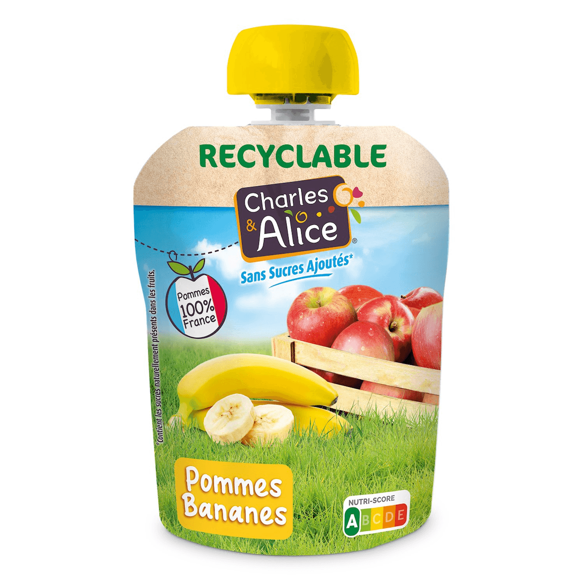 COMPOTE DE POMME BANANE SSA - 100% FRANCE - 72 GOURDES DE 90 G