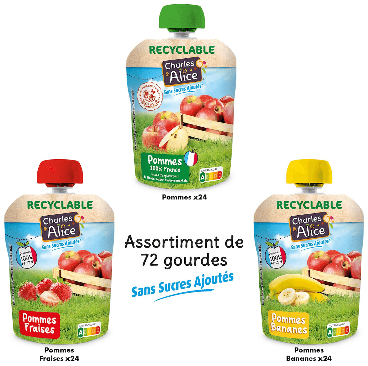 CARTON ASSORTI COMPOTE 3 PARFUMS - SSA - 100% FRANCE - 72 GOURDES DE 90 G