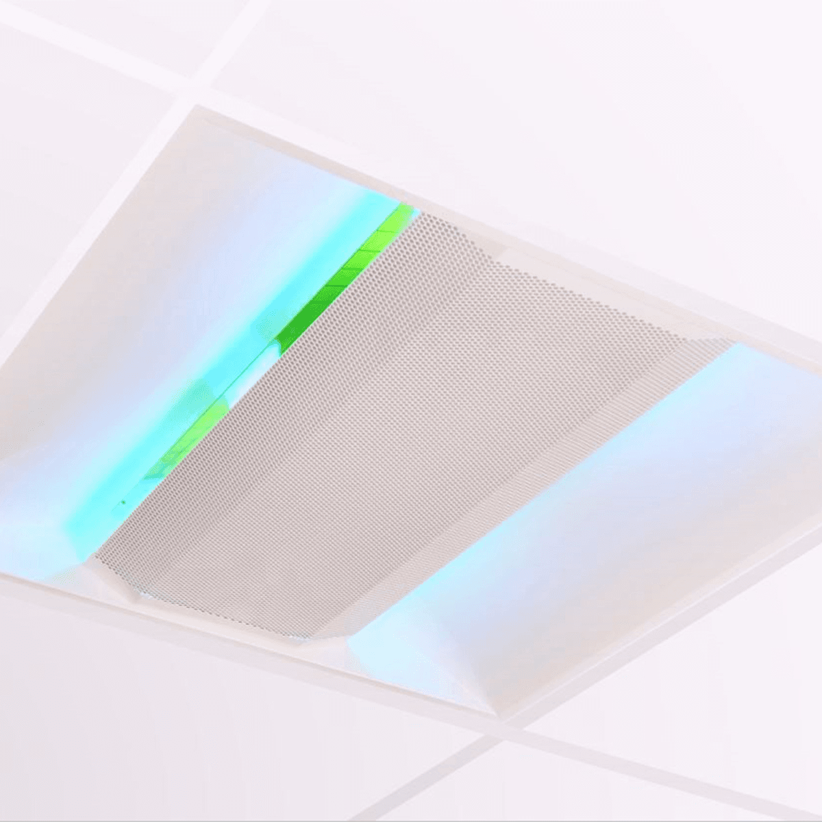DESINSECTISEUR A GLUE LED