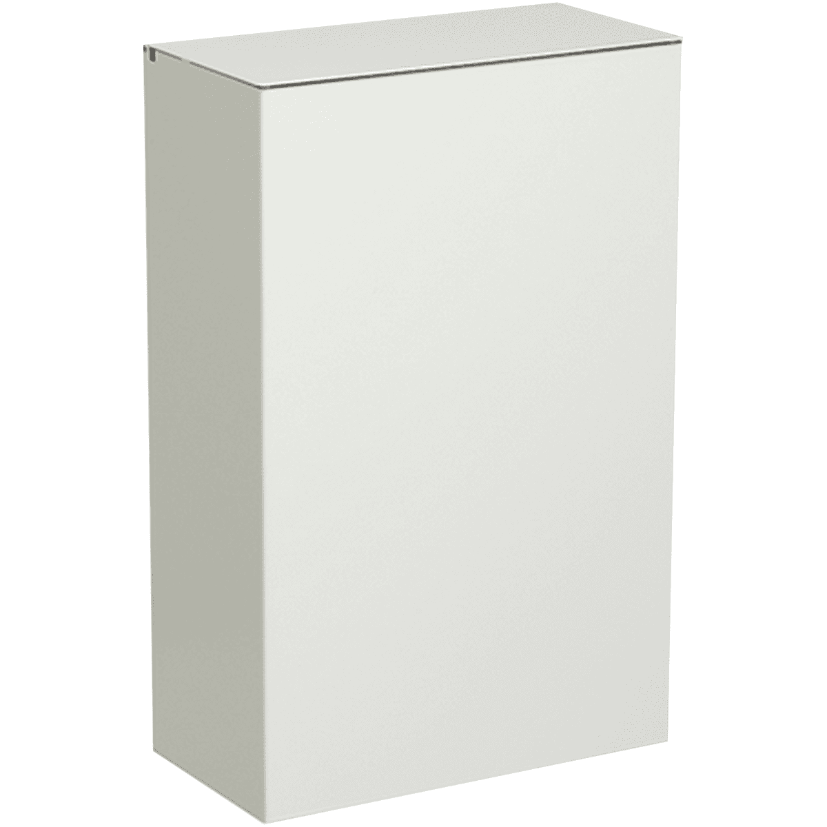 POUBELLE MURALE BASIC 10L