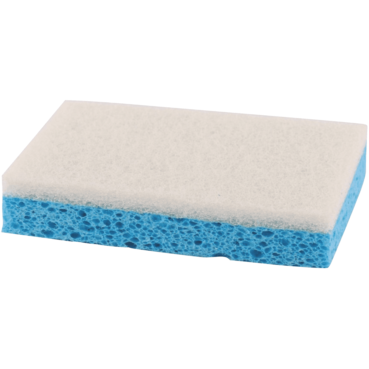 TAMPON BLANC SUR EPONGE BLEUE - GRAND MODELE   PAQUET DE 10