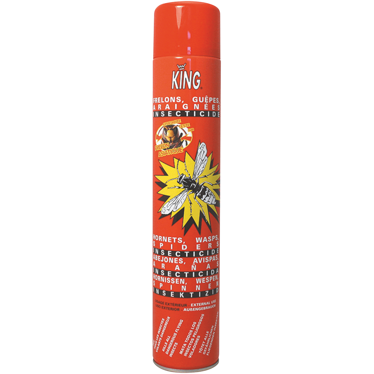 AEROSOL INSECTICIDE ANTI-FRELONS SURPUISSANT 750ML