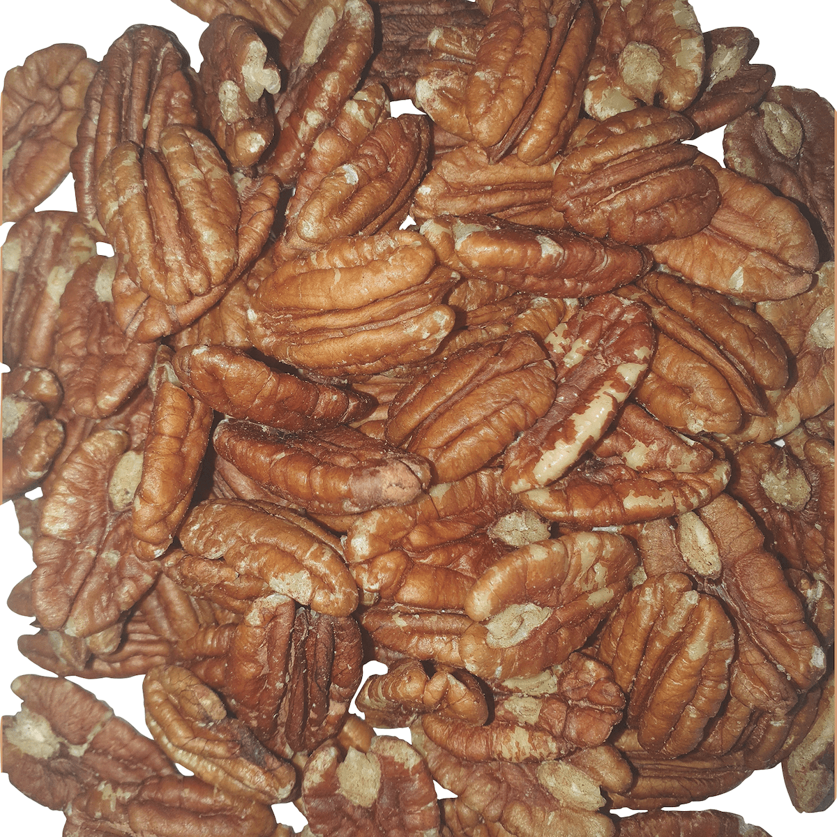 NOIX DE PECAN ENTIERE JR MAMMOTH 1KG
