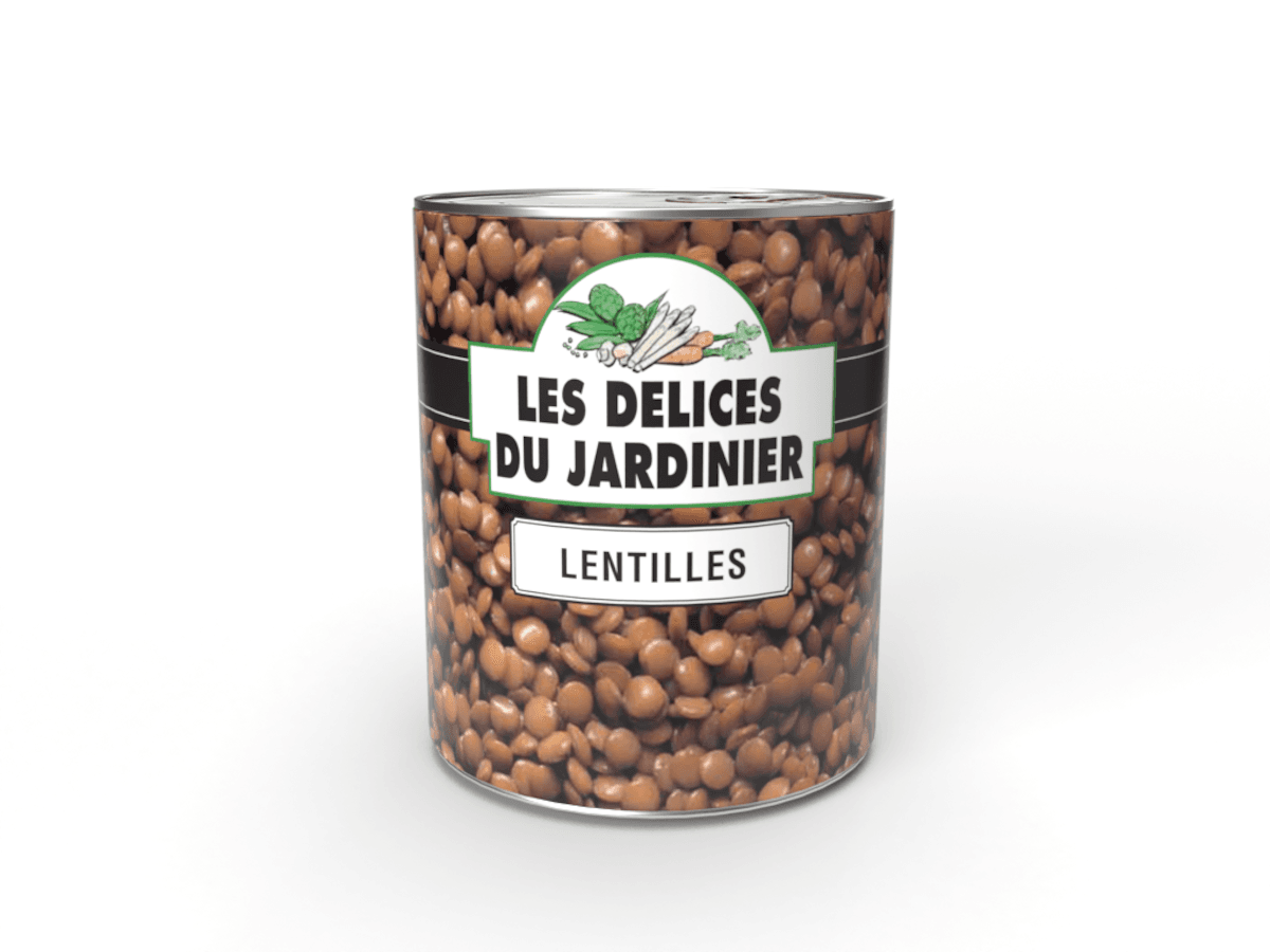 LENTILLES 4/4
