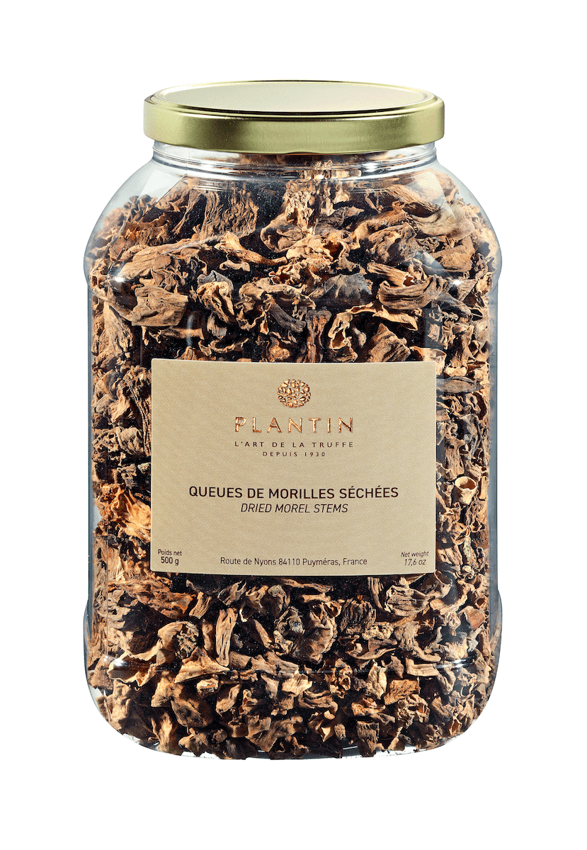 QUEUES DE MORILLES - MORCHELLA CONICA 500G