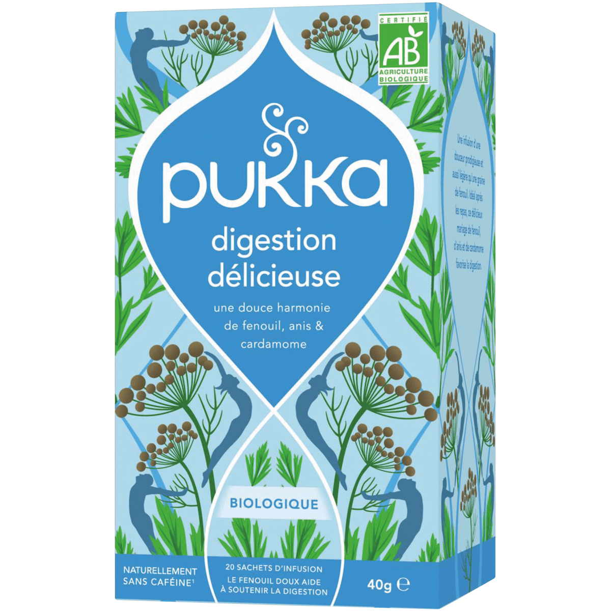 INFUSION BIO DIGESTION DELICIEUSE 20S