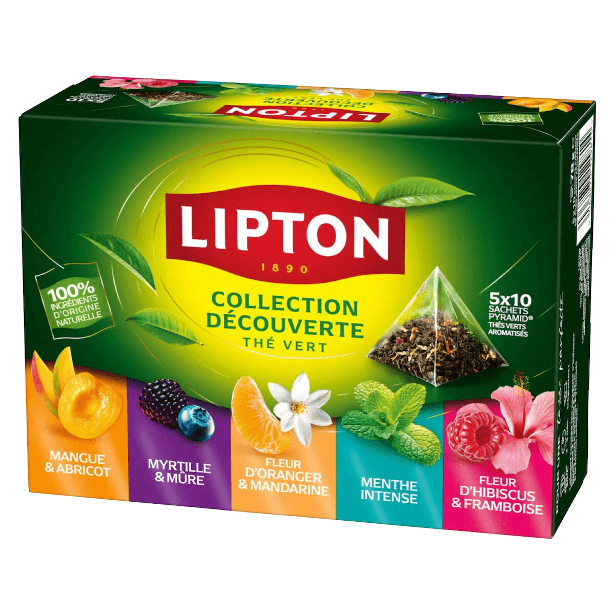 50 COFFRETS THES VERT PYRAMIDE 50 SACHETS